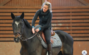 section sport etudes cebtre equestre saulieu - parallax